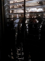 twd0504-1606.jpg