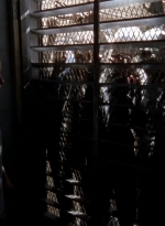 twd0504-1607.jpg