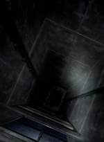 twd0504-2577.jpg