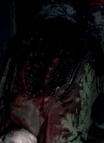 twd0504-2725.jpg