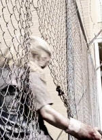 twd0504-2805.jpg