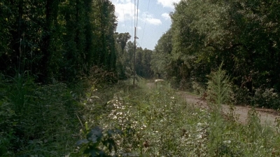 twd0505-0002.jpg
