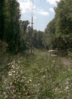 twd0505-0004.jpg