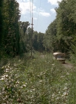 twd0505-0005.jpg
