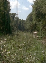 twd0505-0006.jpg