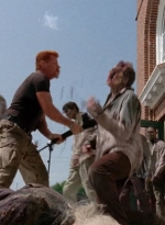 twd0505-2073.jpg