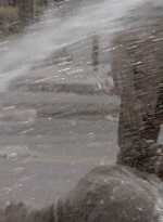 twd0505-2102.jpg