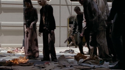twd0506-1395.jpg