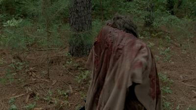 twd0506-3029.jpg