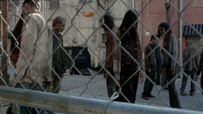 twd0506-3230.jpg
