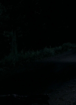 twd0506-0312.jpg