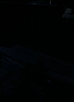 twd0506-0403.jpg