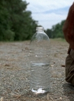 twd0507-2987.jpg