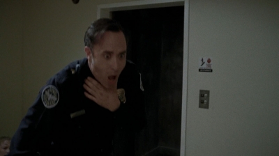 twd0508-1546.jpg