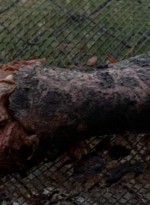 twd0508-0331.jpg