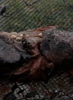 twd0508-0334.jpg