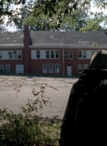 twd0508-2937.jpg