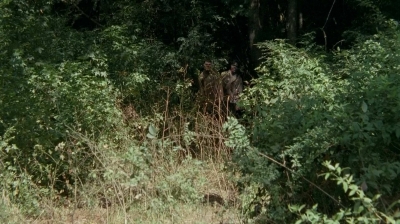 twd0509-2000.jpg