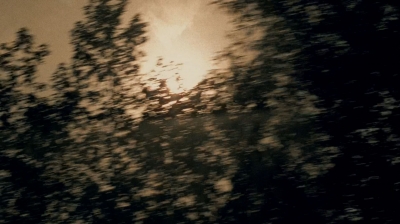 twd0509-2105.jpg