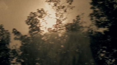 twd0509-2108.jpg