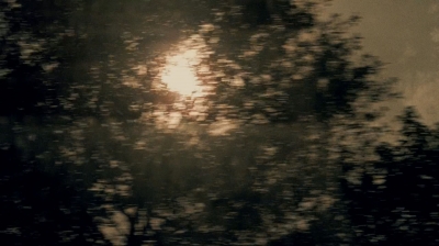 twd0509-2110.jpg