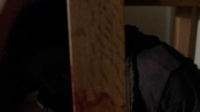 twd0509-2282.jpg