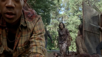 twd0509-2529.jpg
