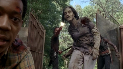twd0509-2549.jpg