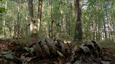twd0509-2652.jpg
