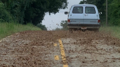 twd0509-2856.jpg