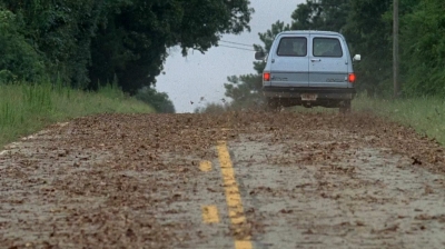 twd0509-2859.jpg