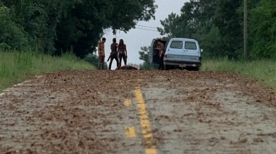 twd0509-2916.jpg