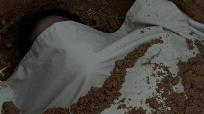 twd0509-2947.jpg