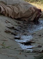 twd0509-0955.jpg