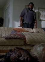 twd0509-1294.jpg