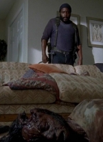 twd0509-1295.jpg
