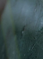 twd0509-1514.jpg