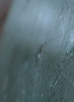 twd0509-1516.jpg