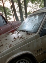 twd0509-1519.jpg