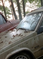 twd0509-1521.jpg