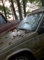 twd0509-1522.jpg