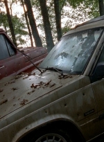 twd0509-1523.jpg