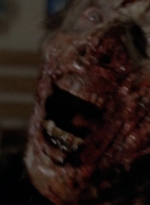 twd0509-1725.jpg