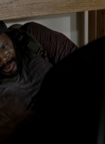 twd0509-1772.jpg