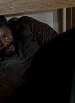 twd0509-1773.jpg