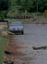 twd0509-1791.jpg