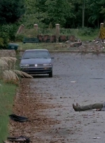 twd0509-1792.jpg