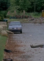 twd0509-1793.jpg
