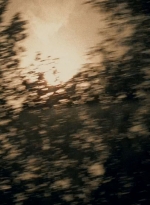 twd0509-2105.jpg
