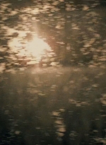 twd0509-2107.jpg